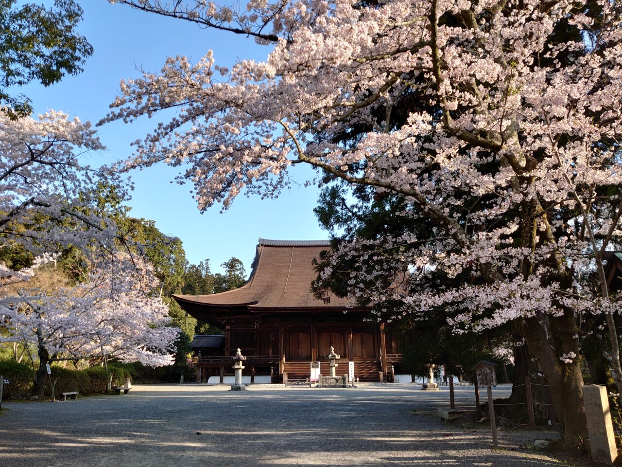 園城寺 三井 寺