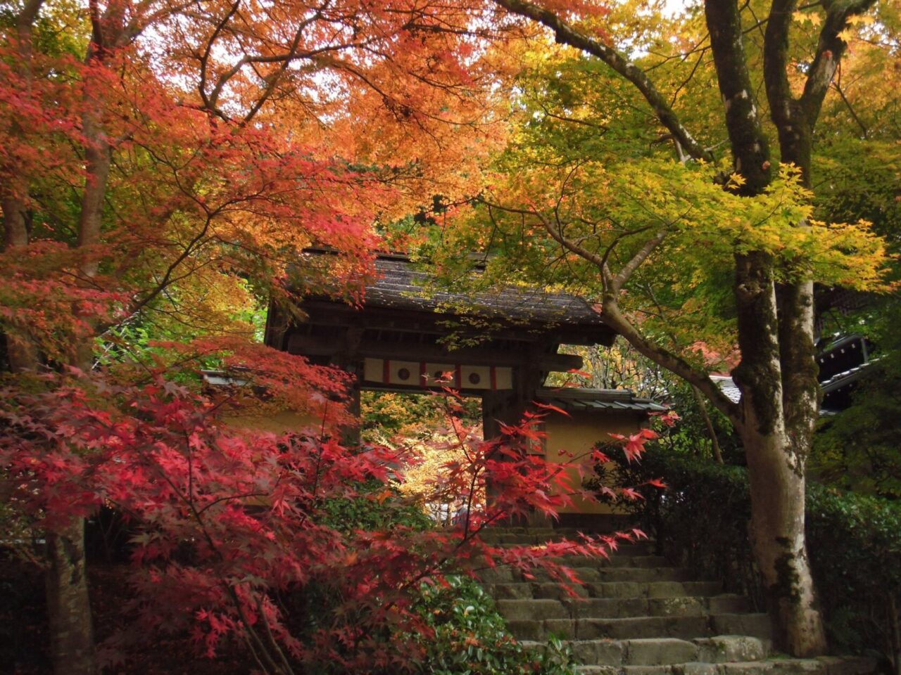 寂光院