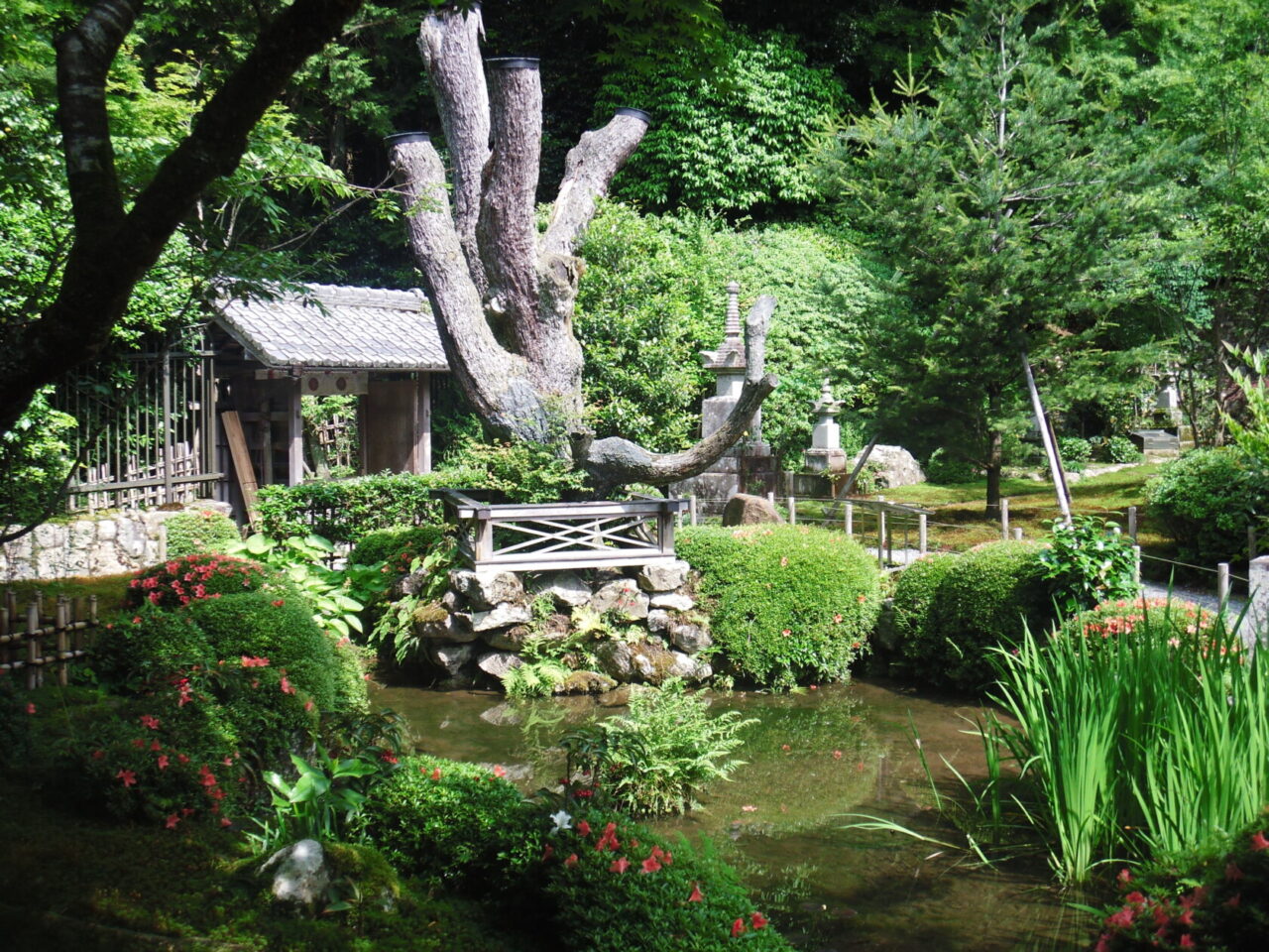 寂光院